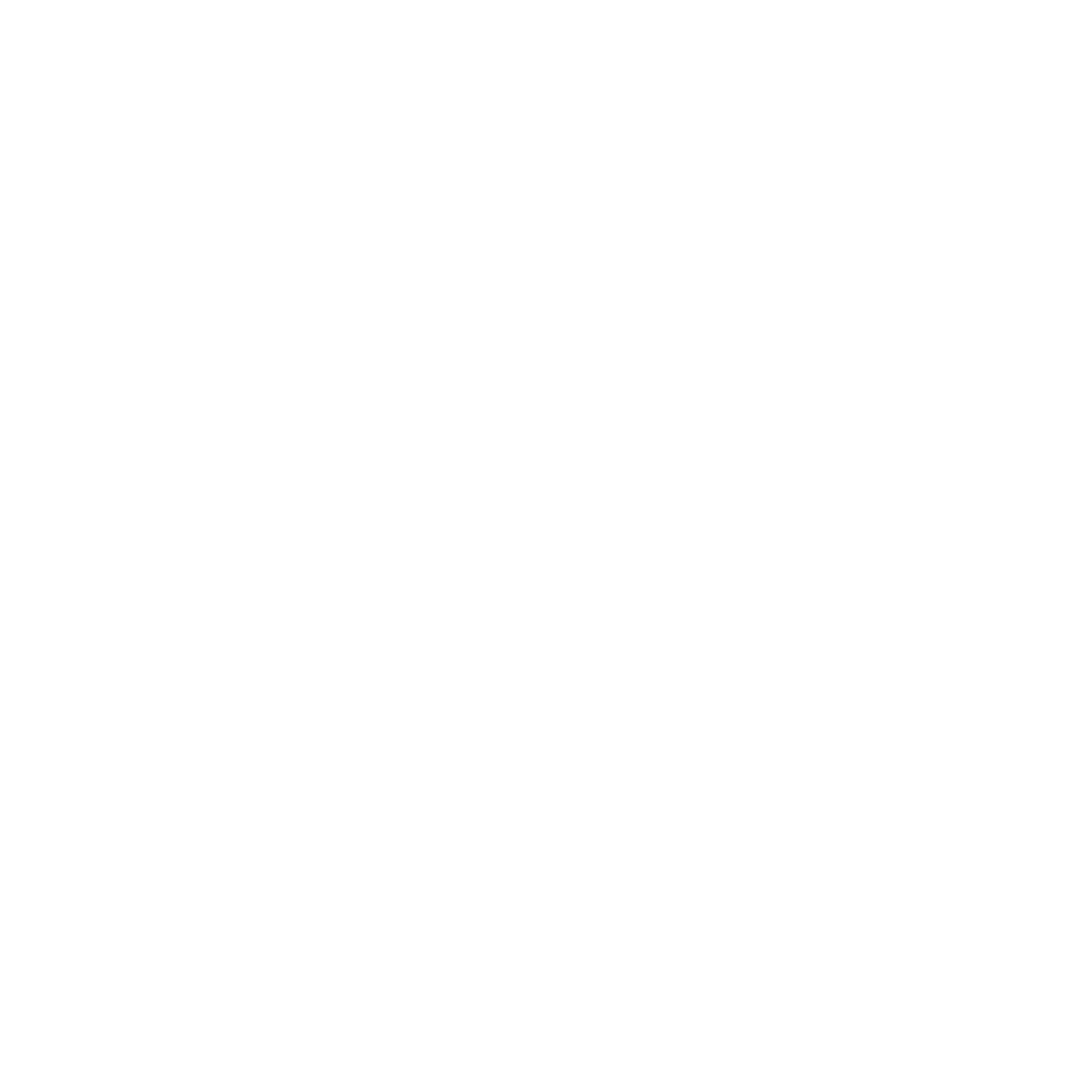 Adders Logo
